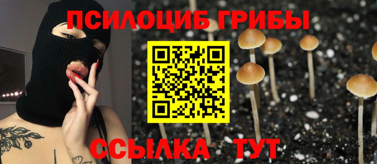 Галлюциногенные грибы мицелий Иваново