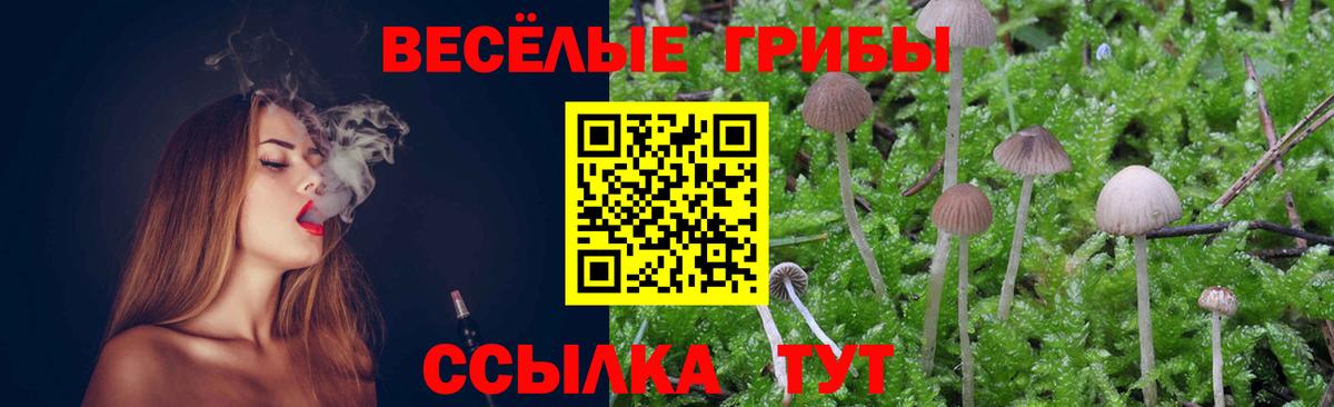 Иваново  Псилоцибиновые грибы MAGIC MUSHROOMS  Галлюциногенные грибы GOLDEN TEACHER  Вход с VPN 